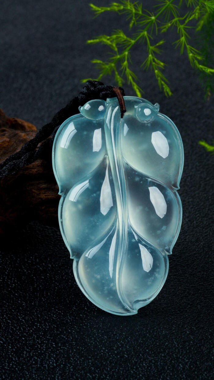 3377app|公安镇：学雷锋志愿服务 关爱老人健康