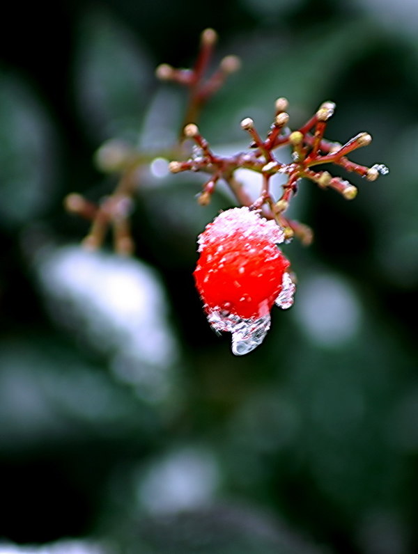 【3377体育】怀来县音乐人抗疫歌曲《值得》MV录制成功(图2)
