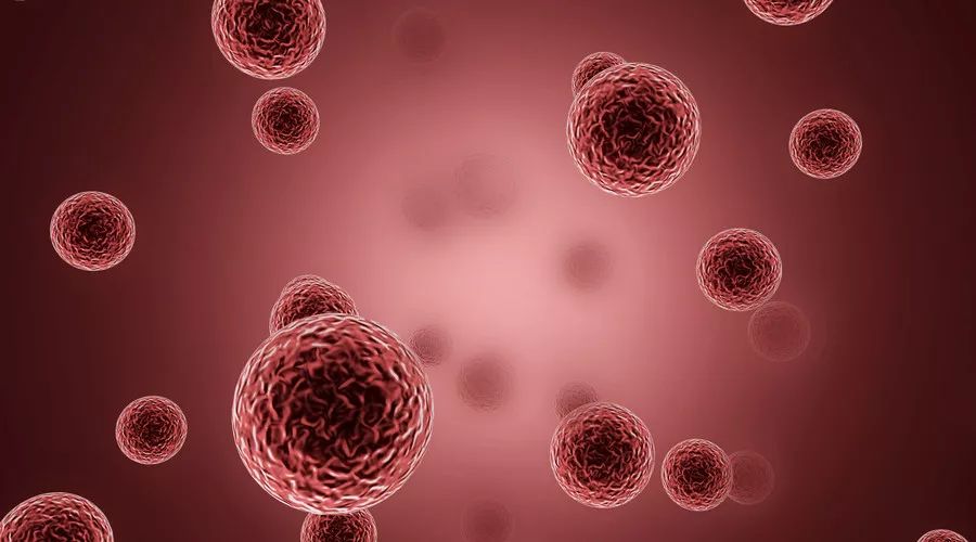 “3377app”敲响“官告民”法槌,只为“控辍保学”一个都不能少(图2) “3377app”敲响“官告民”法槌,只为“控辍保学”一个都不能少(图2)