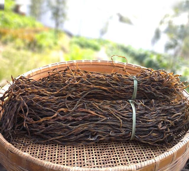 3377体育-《音乐大师课》师生“同唱一首歌”