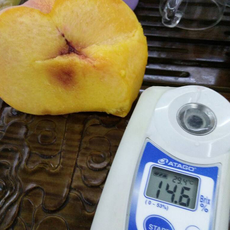 ‘3377官网’《蒸汽世界：挖掘2》销量喜人 Switch版