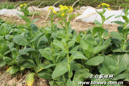 3377官网-《质量效应：仙女座》再放情报 主机版也将支持H