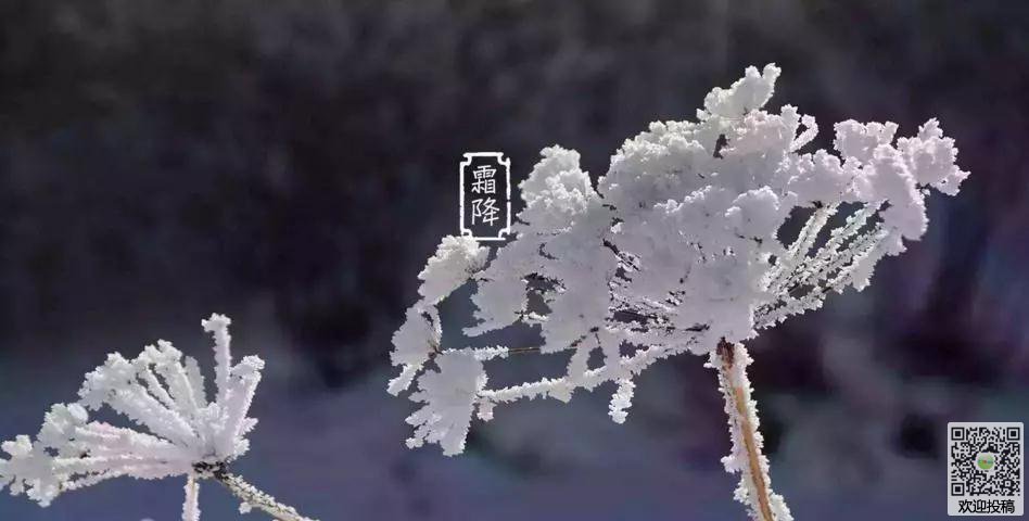 《乐高星战：天行者传奇》新宣传片 确认2020年推出‘3377官网’(图2)