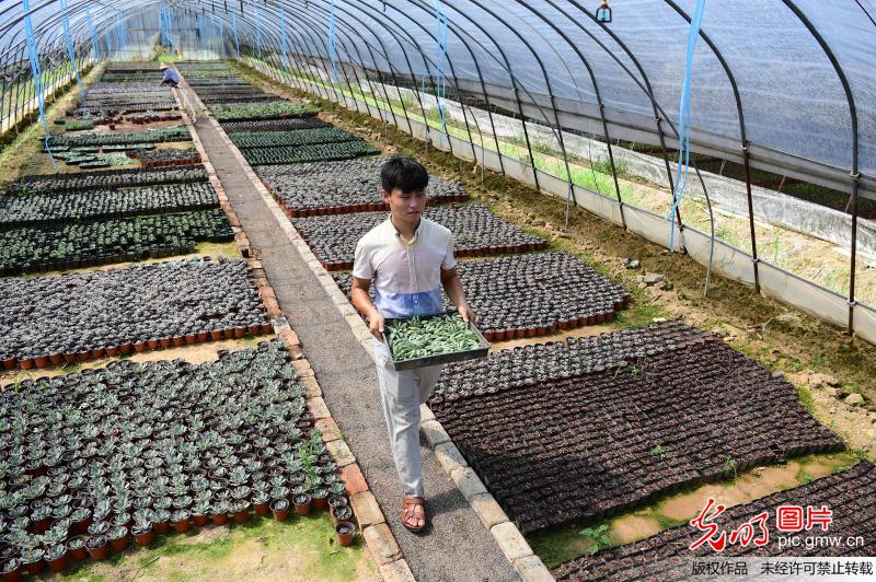 3377官网：钟山县2019年畜禽生态养殖项目补助资金拟发放